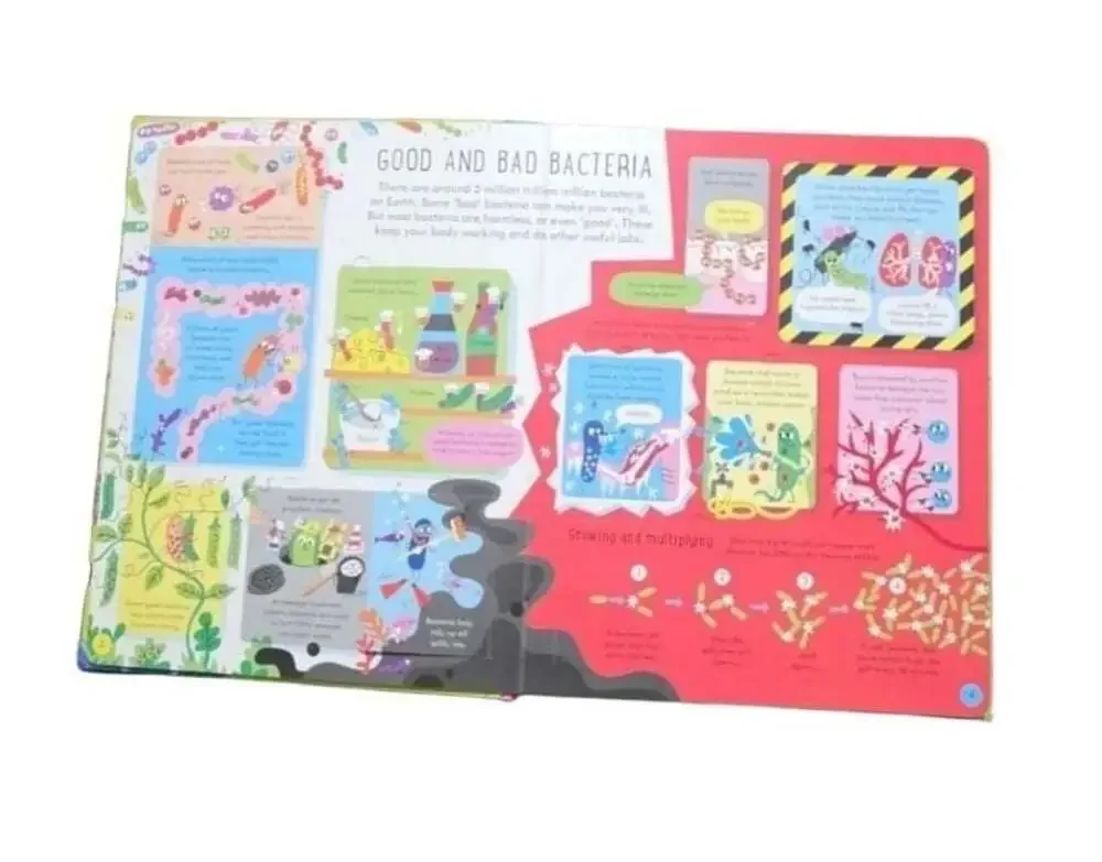 Usborne Flap Book: See Inside Germs STEM